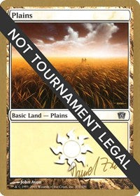 Plains (331) - 2003 Daniel Zink (8ED) [World Championship Decks]