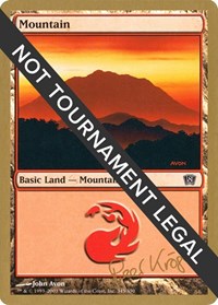 Mountain (345) - 2003 Peer Kroger (8ED) [World Championship Decks]