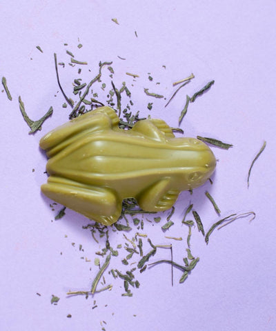 Matcha - Frog