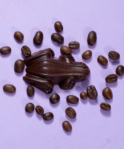 Syrian Coffee - Frog