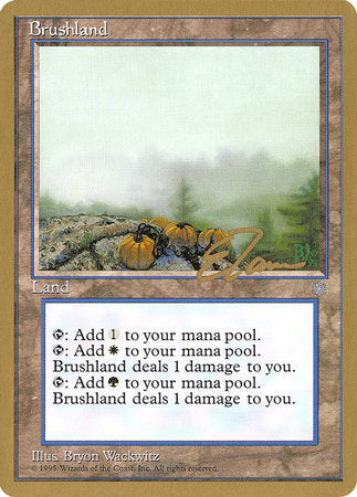 Brushland - 1996 Eric Tam (ICE) [Pro Tour Collector Set]