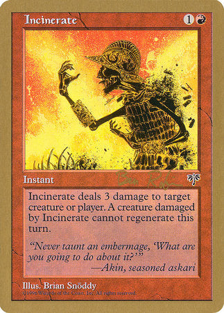 Incinerate - 1998 Ben Rubin (MIR) [World Championship Decks 1998]