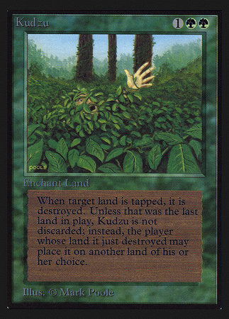 Kudzu (IE) [Intl. Collectors’ Edition]